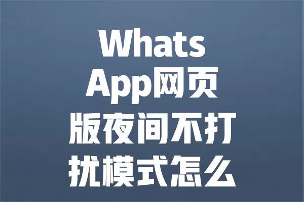 WhatsApp网页版夜间不打扰模式怎么设置？ 二