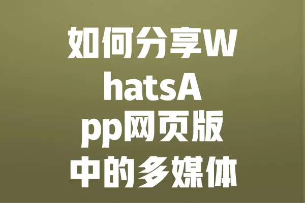 如何分享WhatsApp网页版中的多媒体文件？ 二